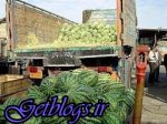 آیا قیمت هندوانه 3 برابر شده است است؟